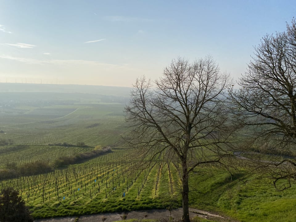 Ausblick Hofgut Wißberg - Das Weinberghotel