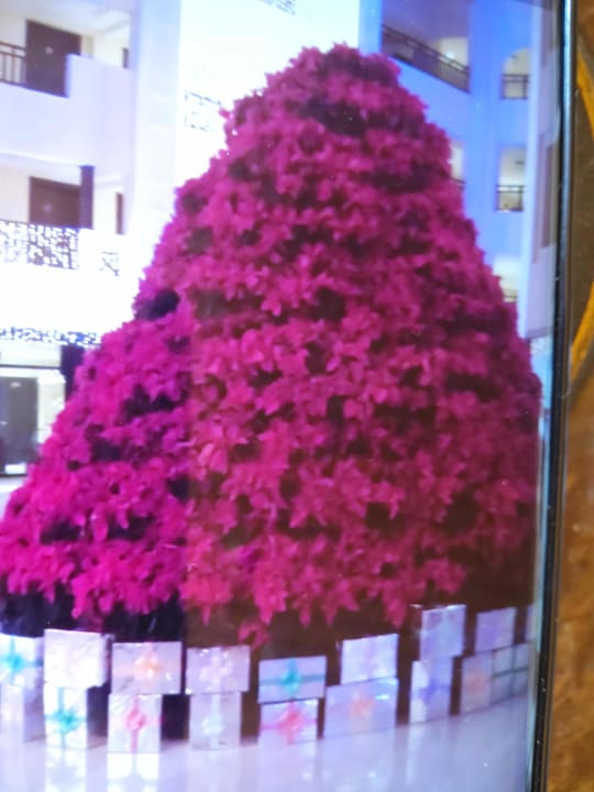 Lobby Steigenberger ALDAU Beach Hotel