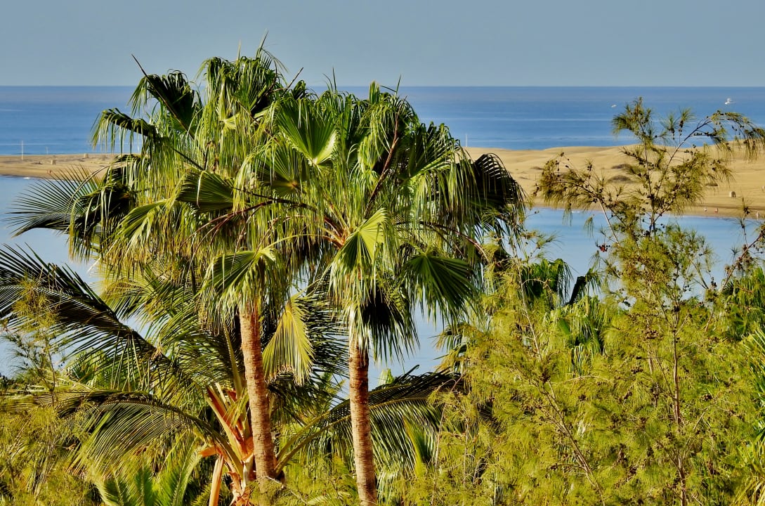 Ausblick allsun Hotel Lucana