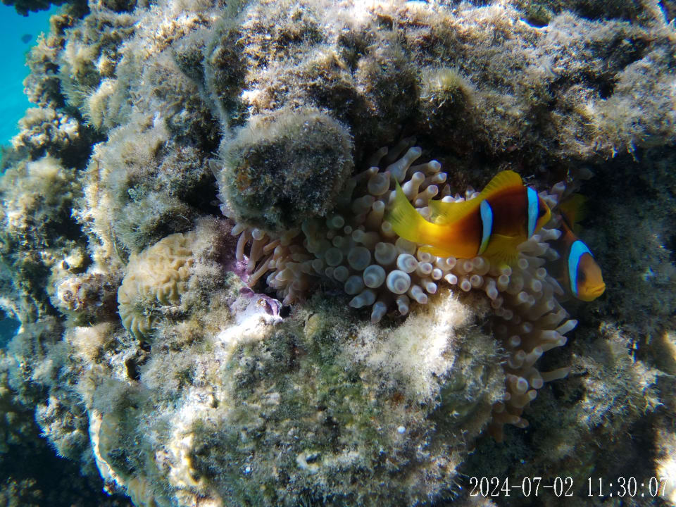 Sport & Freizeit Cleopatra Luxury Resort Makadi Bay