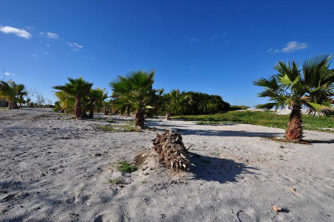 Strandimpression Iberostar Origin Laguna Azul