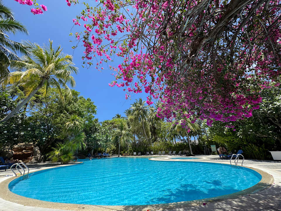 Pool Kuramathi Maldives