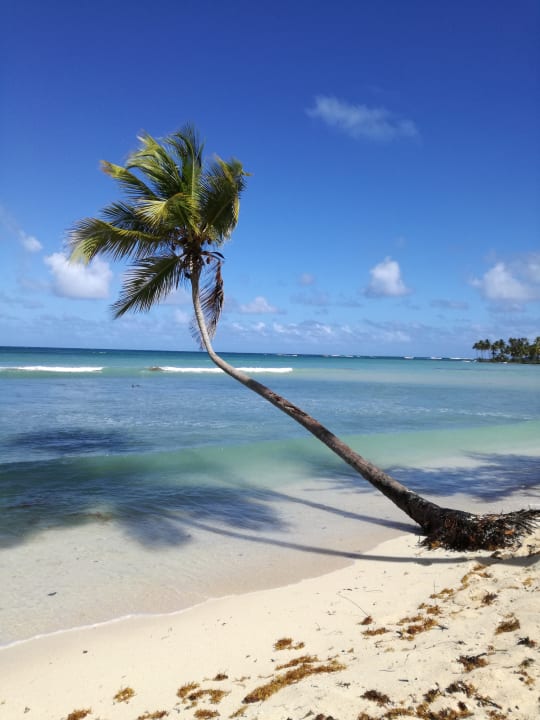 Strand Wyndham Alltra Samana