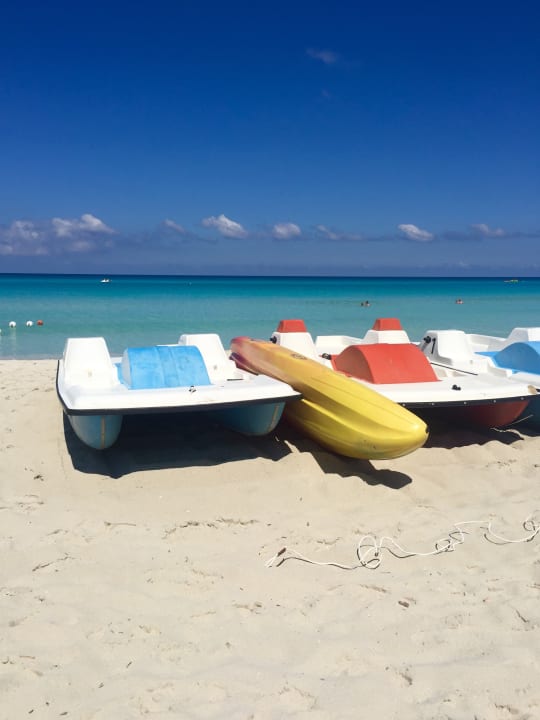 Strand Starfish Cuatro Palmas
