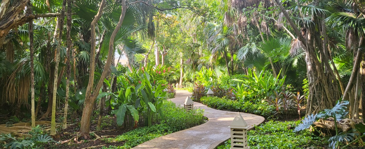 Gartenanlage Iberostar Selection Paraiso Lindo