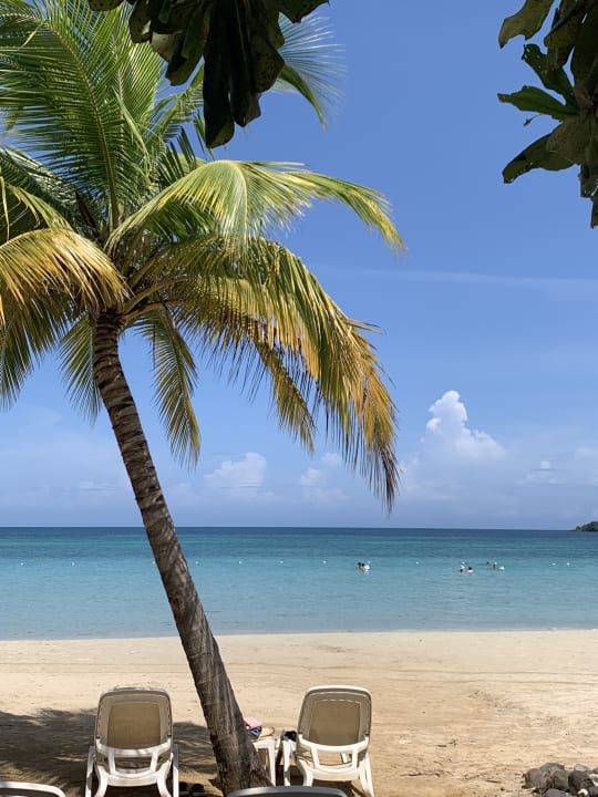 Strand Hotel Riu Palace Tropical Bay