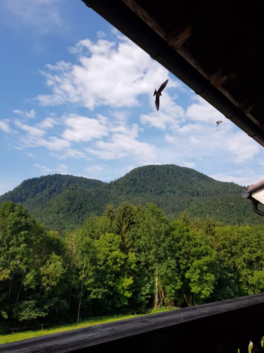 Ausblick Ferienwohnungen Matheishof