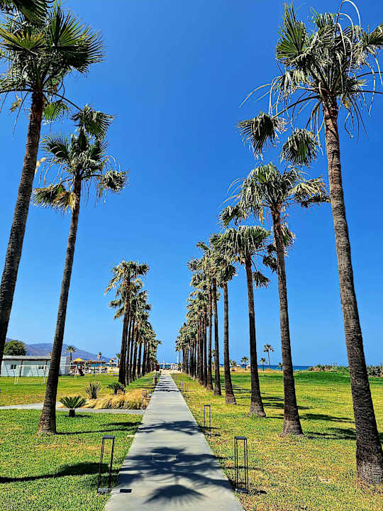 Gartenanlage Delfina Tropic Beach