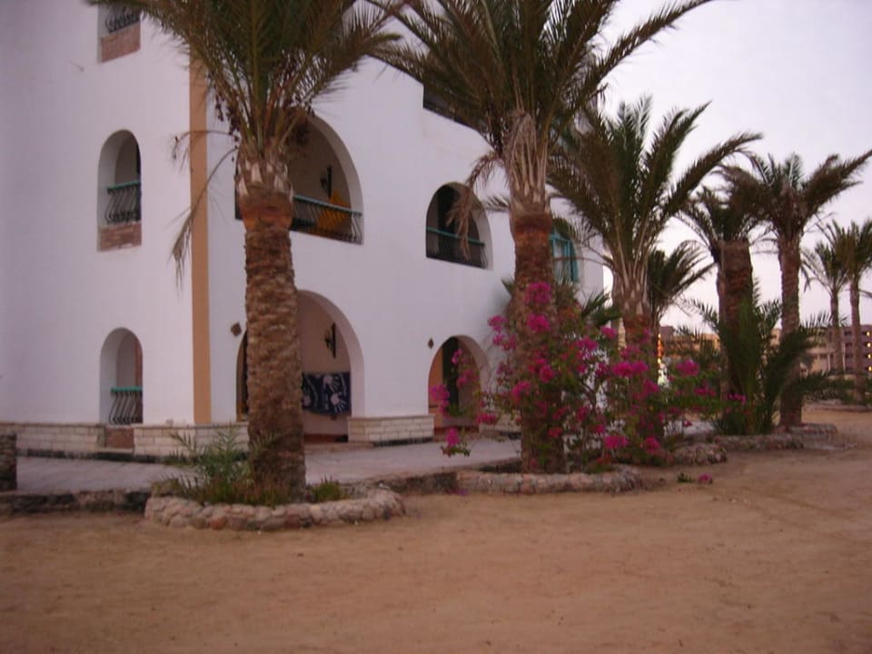 Blick auf unsere Terrasse Arabia Azur Resort