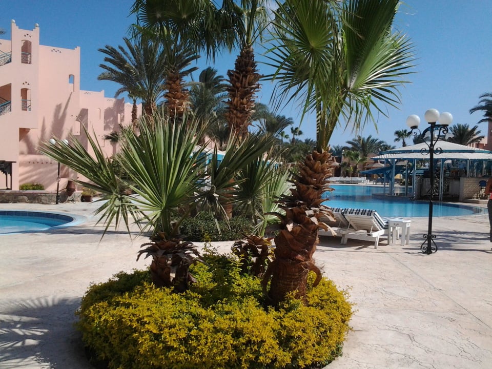 Le pacha Hotel Le Pacha Beach Resort