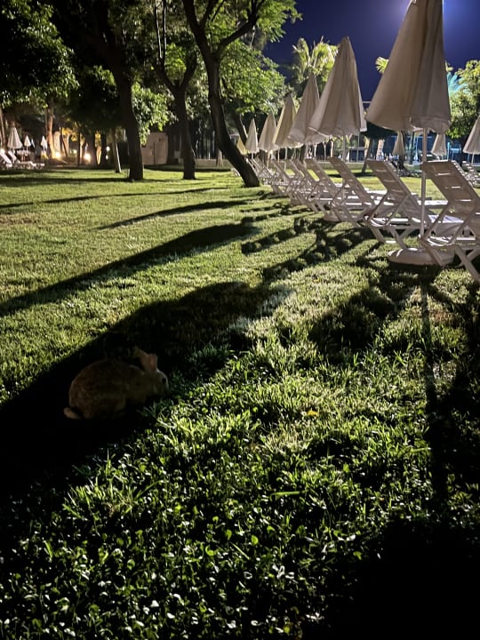 Gartenanlage Labranda Alantur Resort