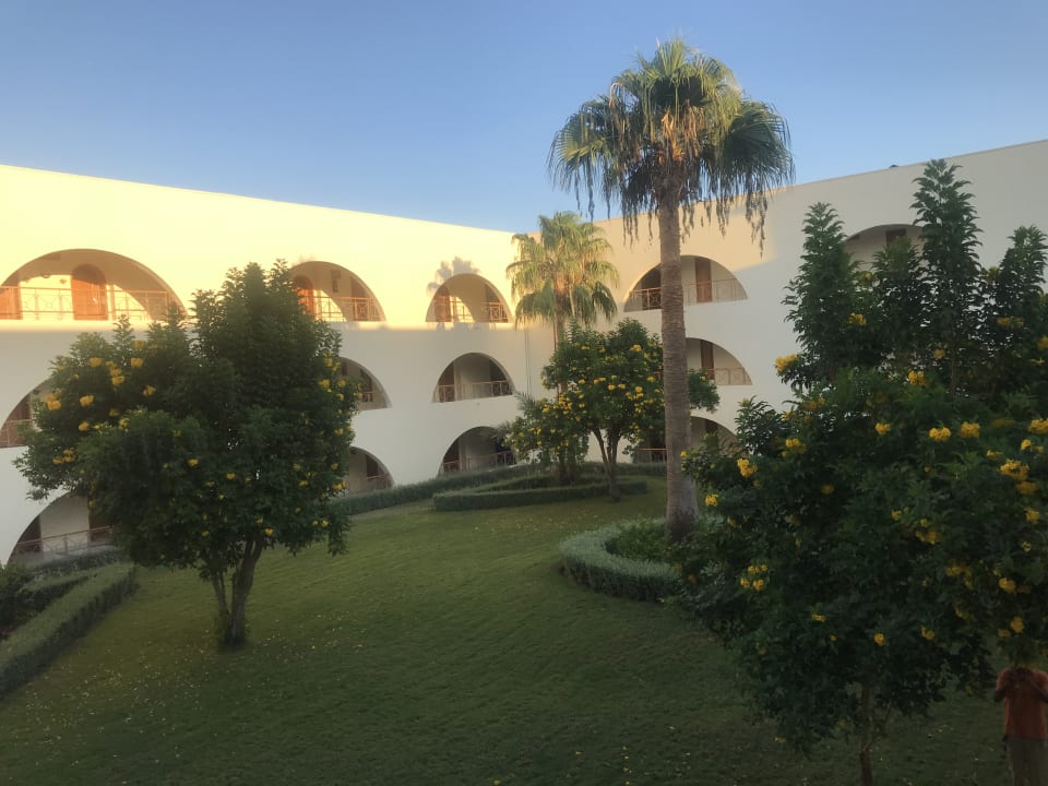 Gartenanlage Desert Rose