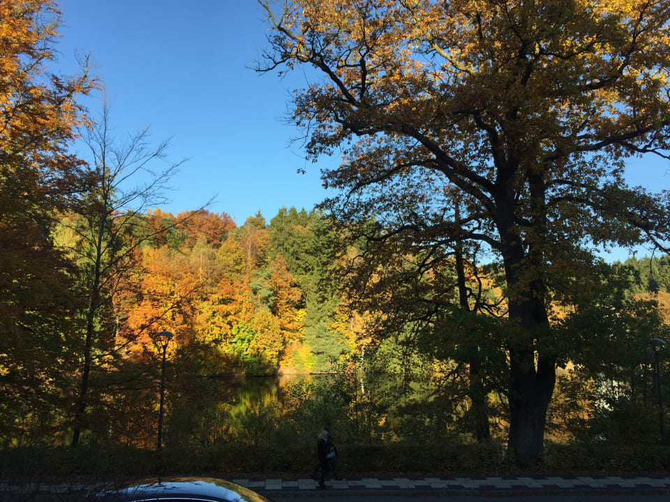 Ausblick Romantischer Winkel RoLigio® & Wellness Resort