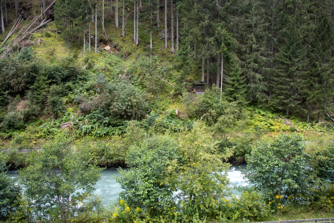 Zimmer Spa Hotel Zedern Klang