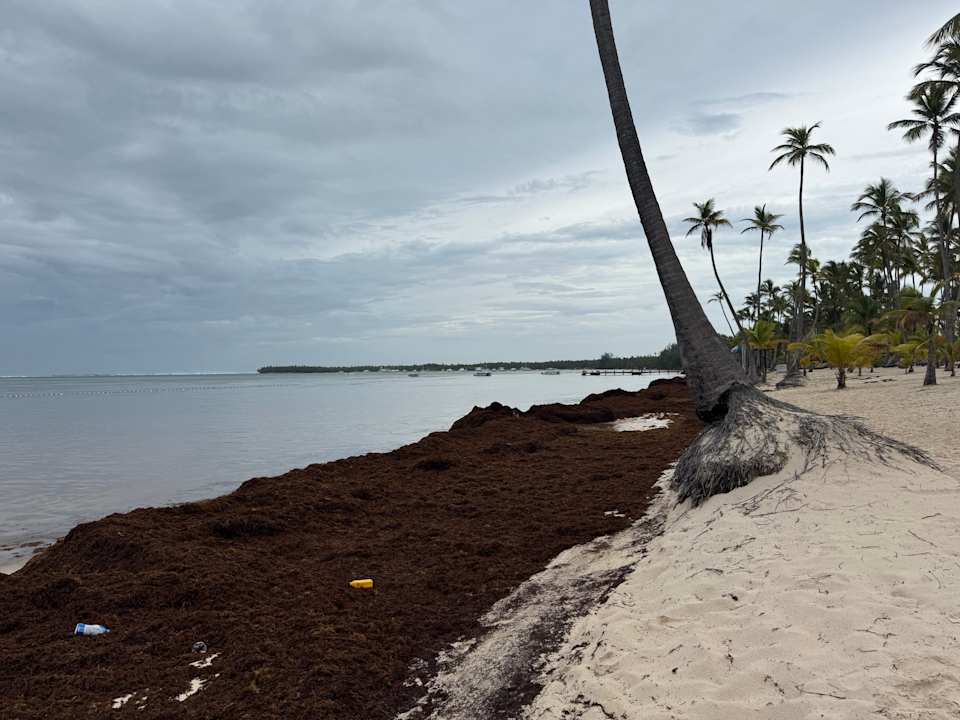 Strand Barceló Bávaro Palace