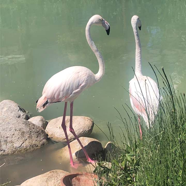 Gartenanlage Rixos Premium Tekirova