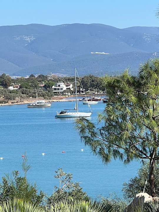 Strand Anda Barut Collection