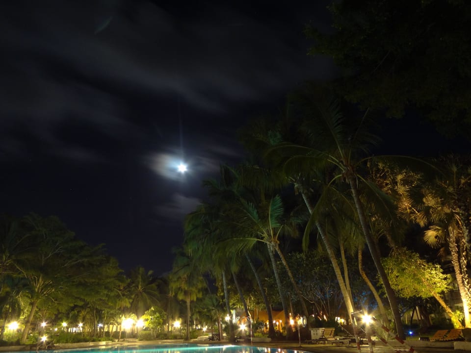 Pool  Hotel Southern Palms Beach Resort