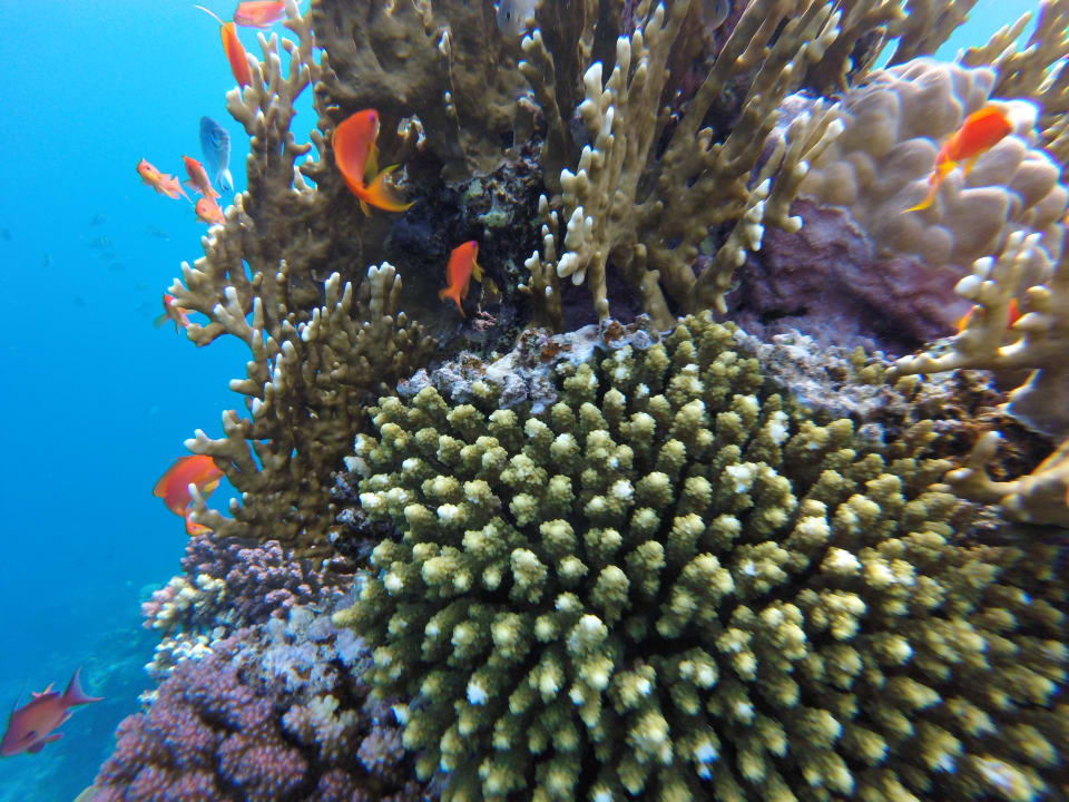 Strand Brayka Bay Resort