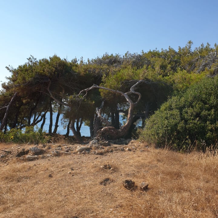 Ausblick Hotel Gardenia Beach