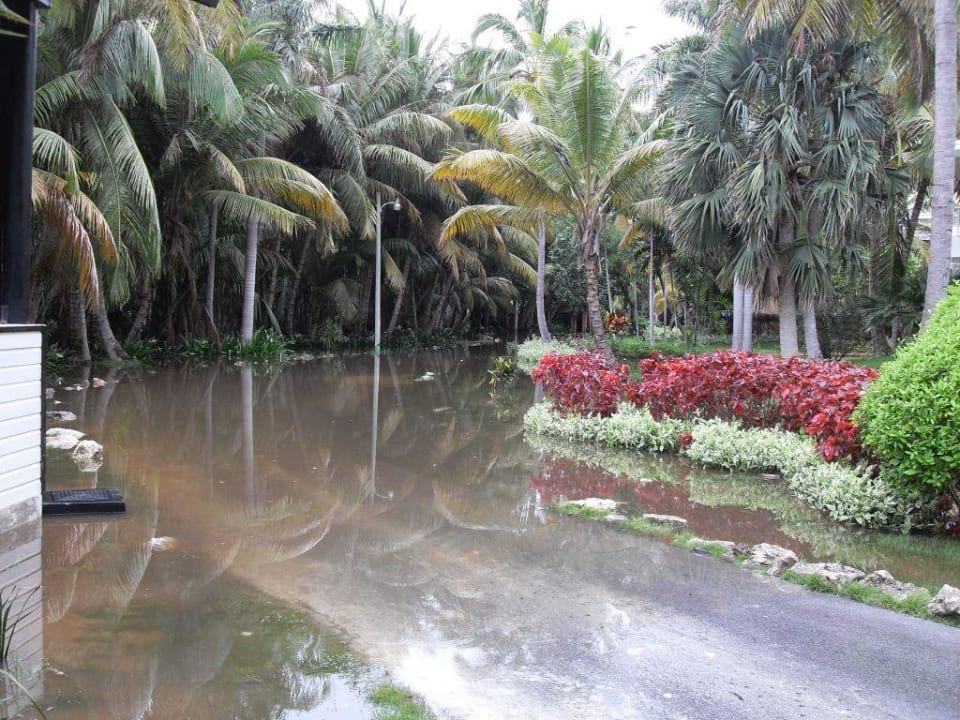 Land unter Grand Palladium Select Bávaro Resort & Spa