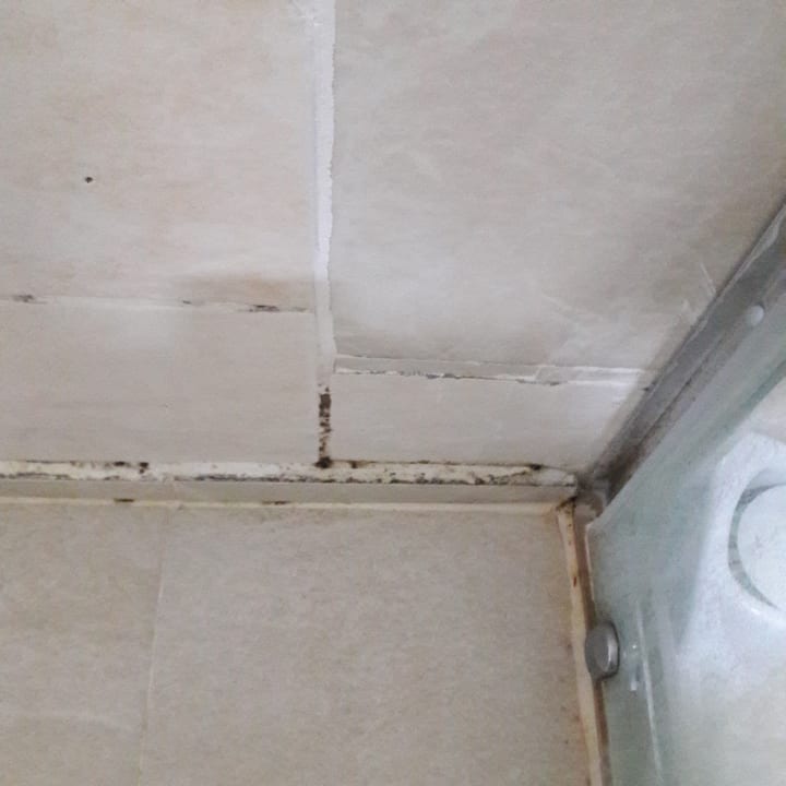 Zimmer Lykia Botanika Beach Hotel