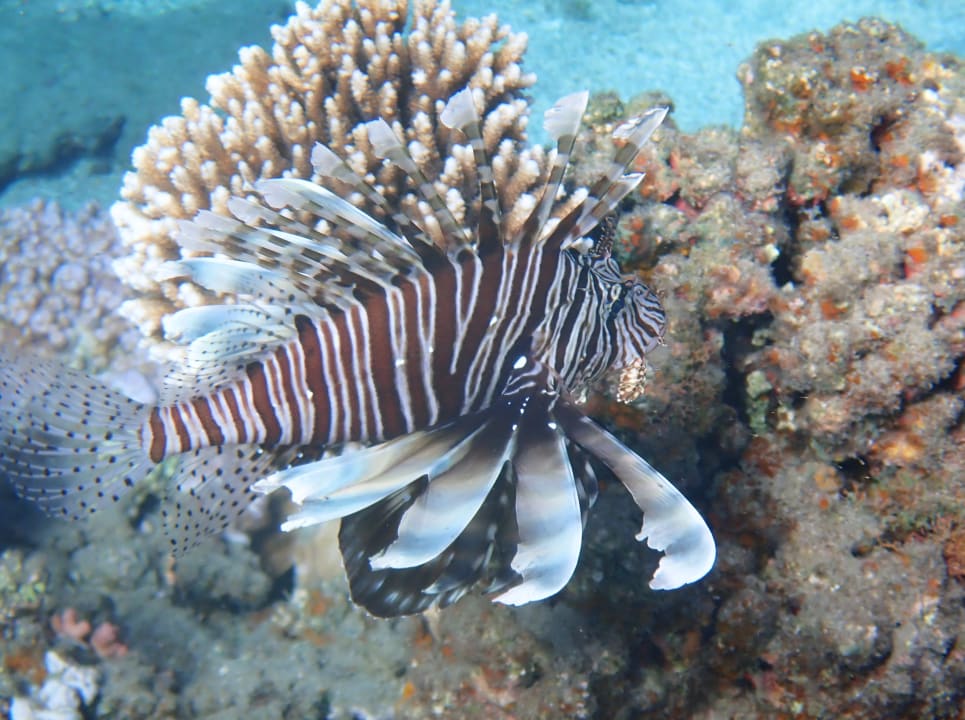 Strand Three Corners Equinox Beach Resort