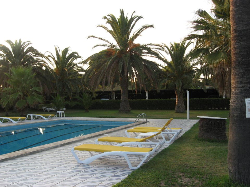 Pool Bungalow Park Colibri