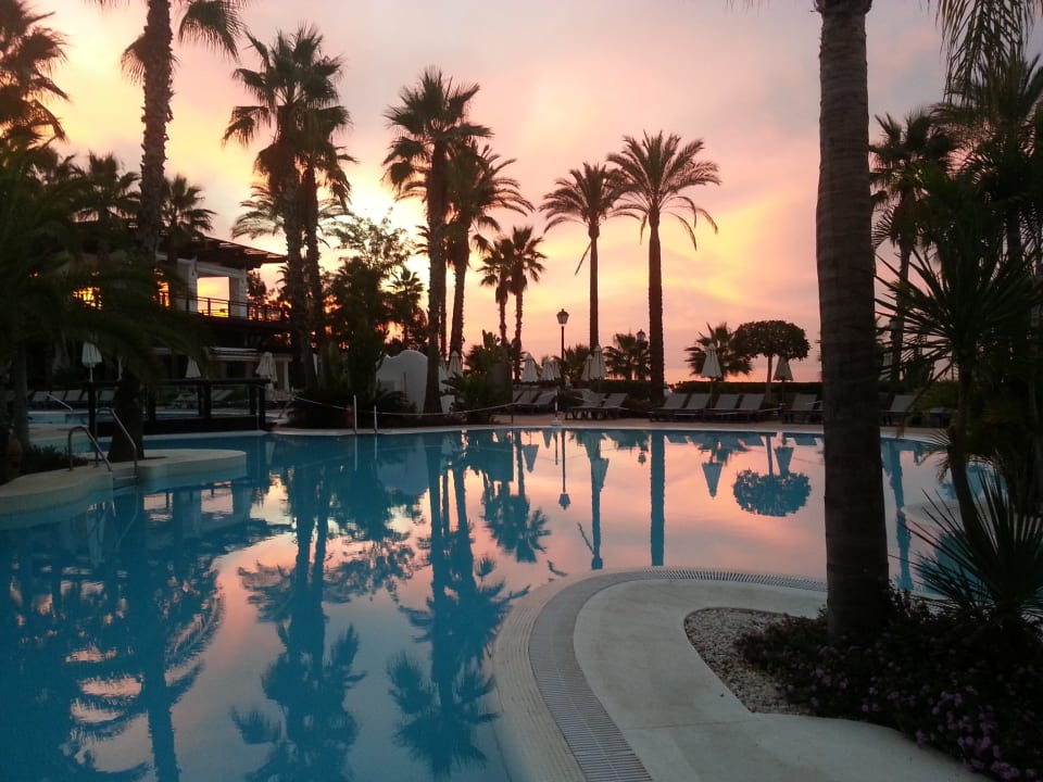 Pool bei Sonnenaufgang H10 Estepona Palace