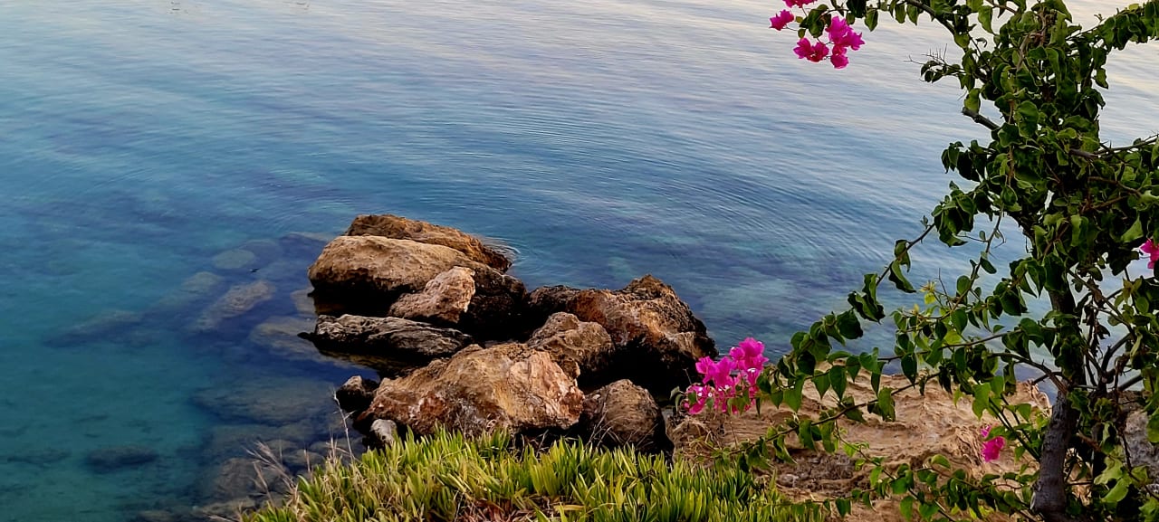 Strand Crystal Springs Beach Hotel