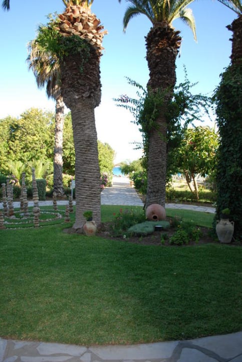 Palmen The Orangers Beach Resort and Bungalows