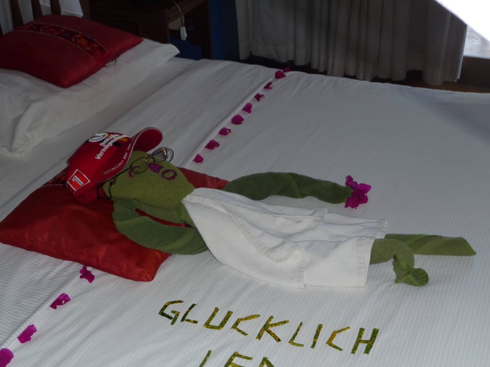 Roomboy zuverlässig und talentiert wie man sieht Neptune Paradise Beach Resort & Spa