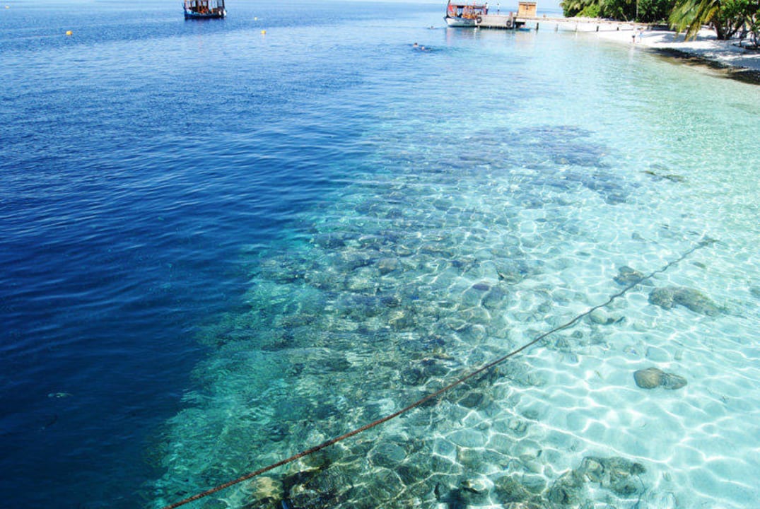 Riffkante Vilamendhoo Island Resort & Spa