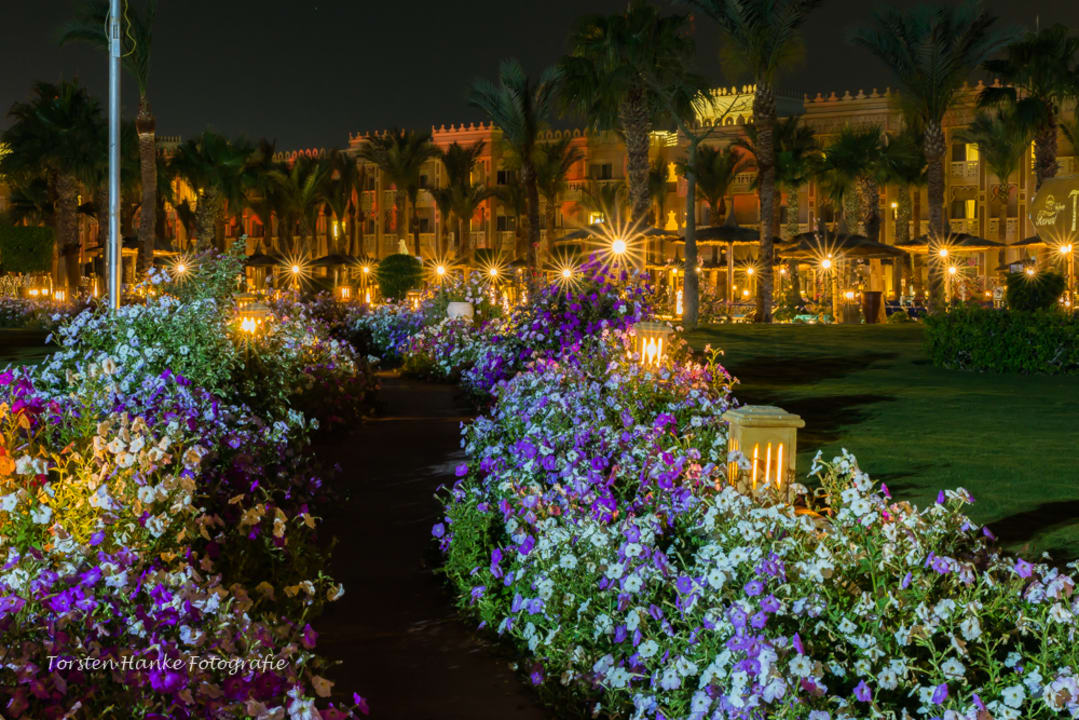 Gartenanlage Pickalbatros Palace Resort
