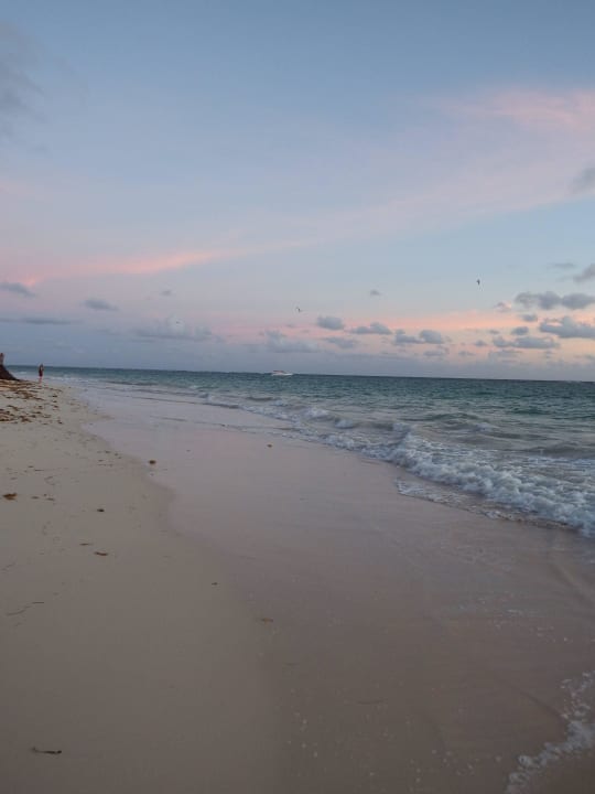 Ein Traum Ocean Blue & Sand