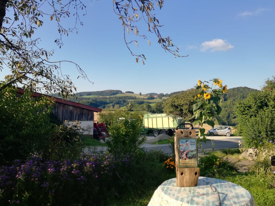 Ausblick Ferienwohnung Storchshof