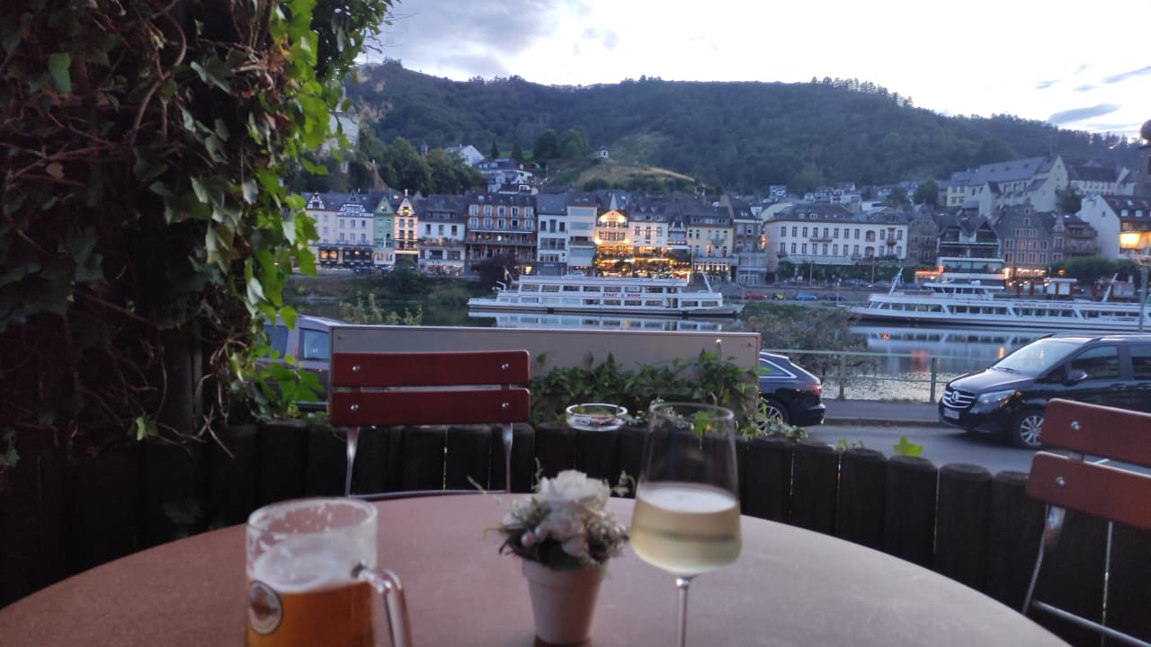 Ausblick Moselstern Hotel Brixiade & Triton