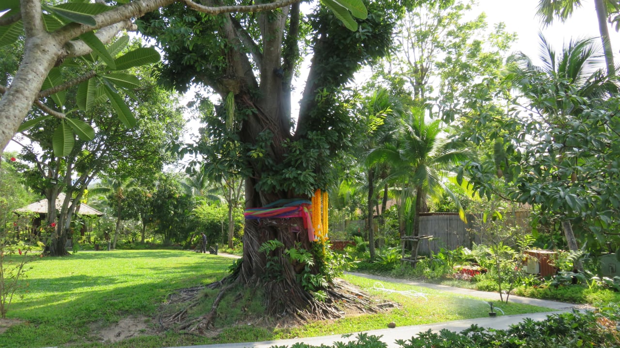 Gartenanlage Bandara Resort & Spa Samui