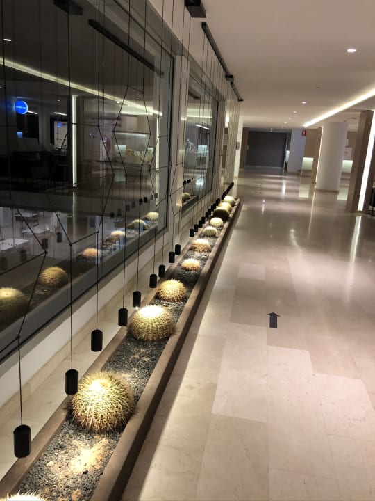 Lobby alltoura Club Hotel Akeah Broncemar