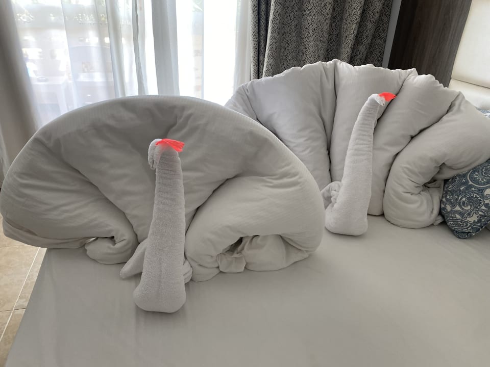 Zimmer Pickalbatros Palace Resort