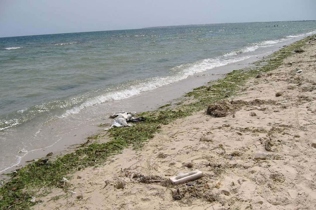 Noch mehr Dreck Alassio Hotel and Thalasso