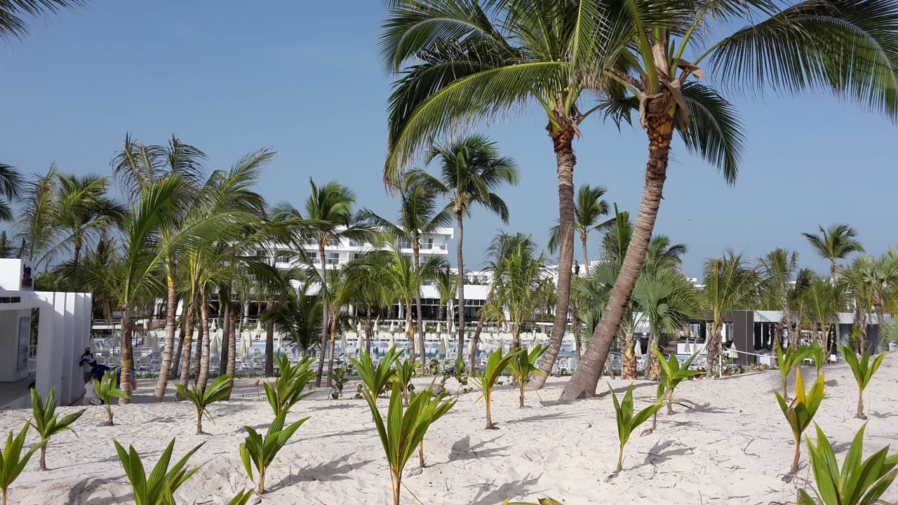 Blick auf den Pool Hotel Riu Republica - Adults only