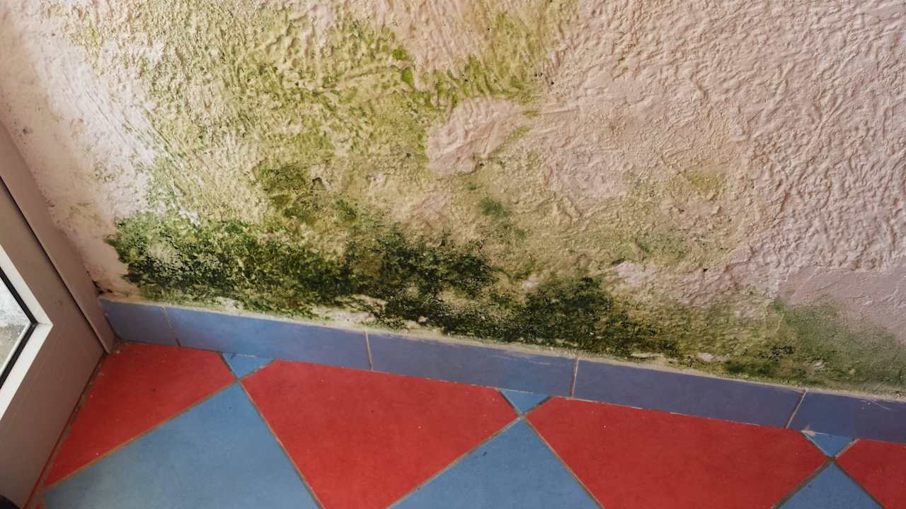 Schimmel Hotel Marina Club