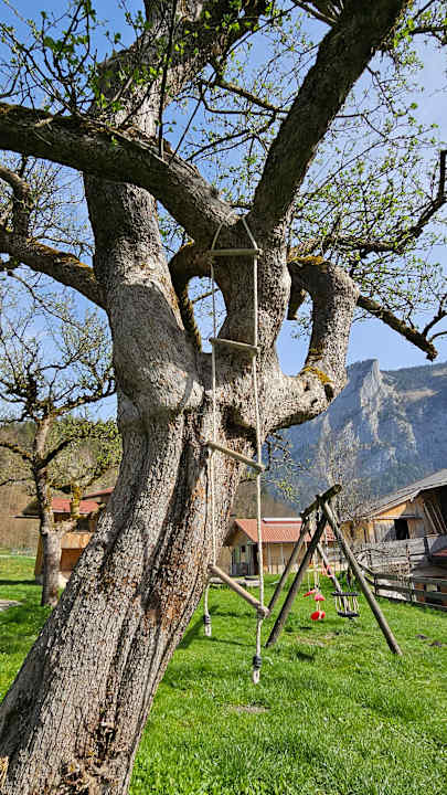 Gartenanlage Bauernhof Bognerlehen