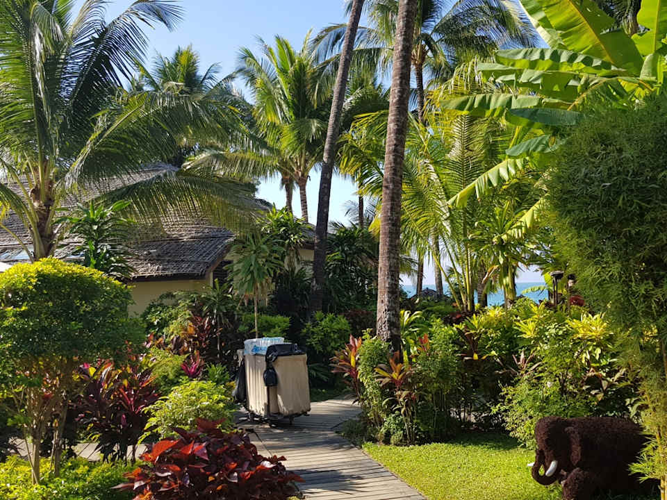 Gartenanlage Bayview - the beach resort