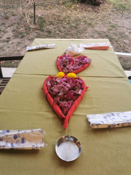 Gastro Calimera Hane Garden