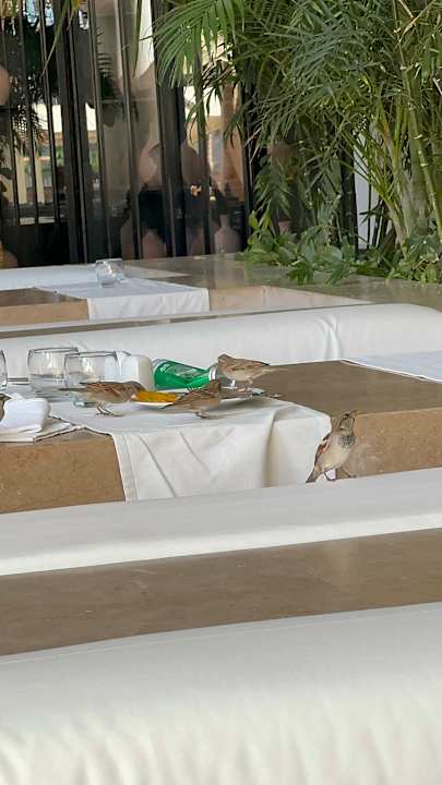 Gastro Serry Beach Resort