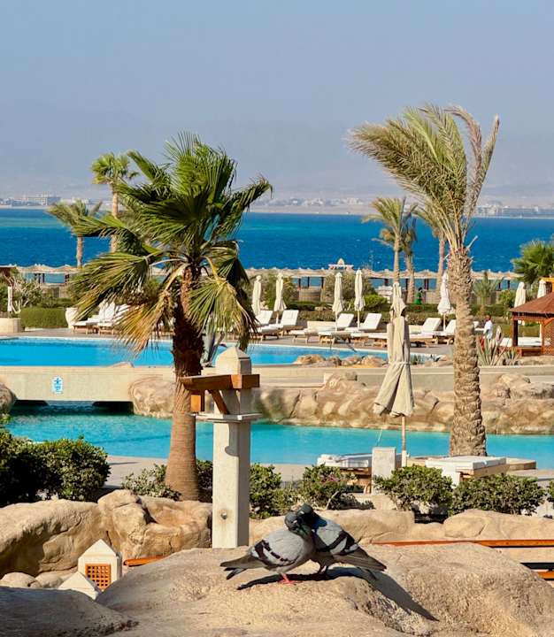 Gastro Hotel Kempinski Soma Bay