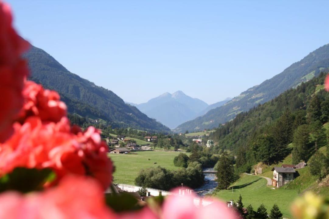 Aussicht/Ausblick Appartements Residence Königsrainer