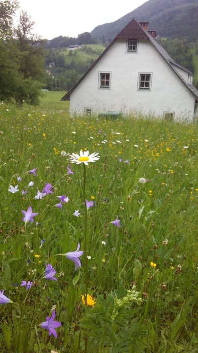 Entspannung auf der großen Wiese Haus Huem